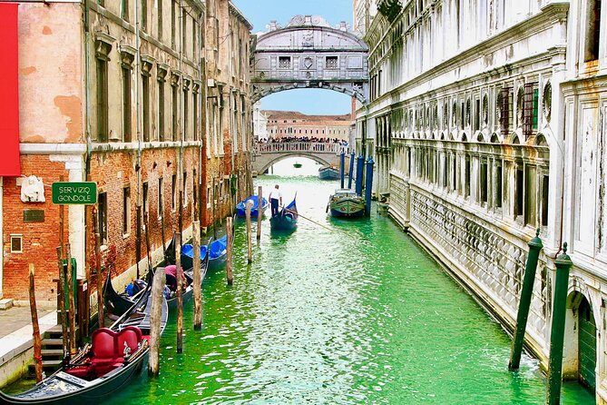 Venice in a Day: The Main Highlights of the City - Correr Museum and extra museum time without re-buying tickets