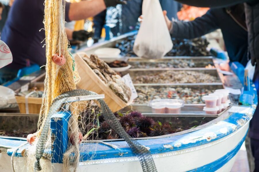 Venice: Market Tour and Meal at a Local's Home - Practical planning: meeting point, timing, and languages