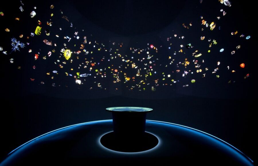 Venice: Natural History Museum Entry Ticket - Key highlights to look for