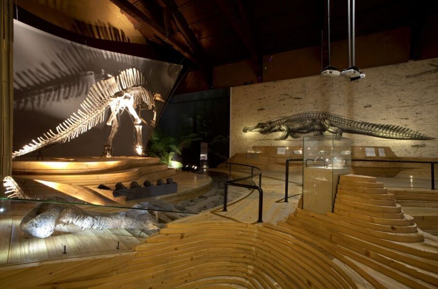 Venice: Natural History Museum Entry Ticket - A canal-side 13th-century building that sets the tone fast