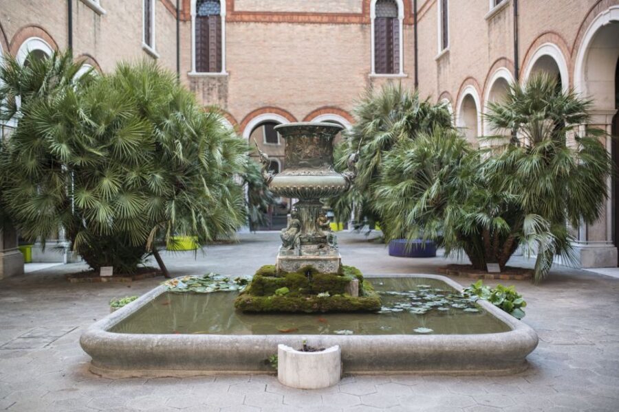 Venice: Natural History Museum Entry Ticket - Entering the museum: what to do in your first 20 minutes