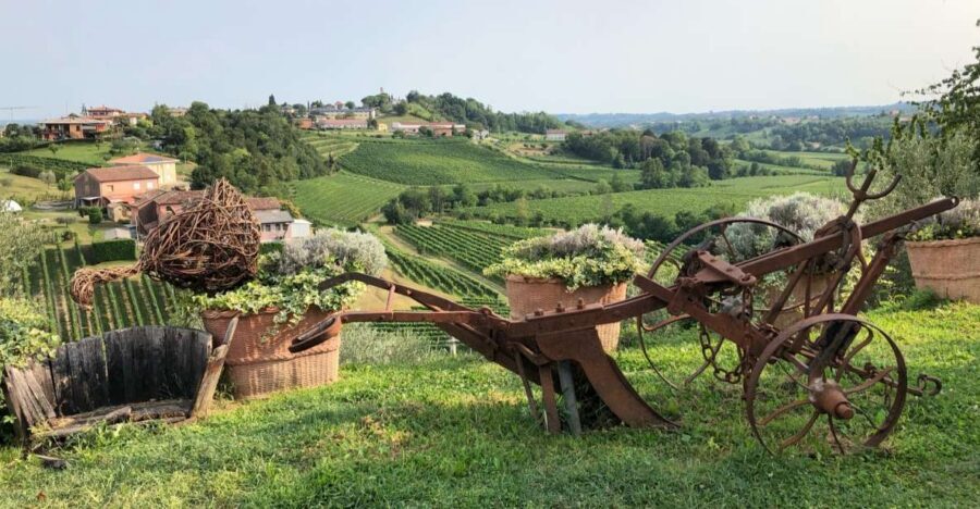 Venice: Prosecco Hills Wineries Tour with Tastings and Lunch - Key highlights at a glance