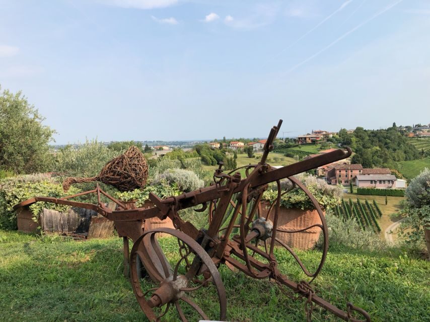 Venice: Prosecco Hills Wineries Tour with Tastings and Lunch - Aperitivo in the vineyards: birds, views, and a slower pace