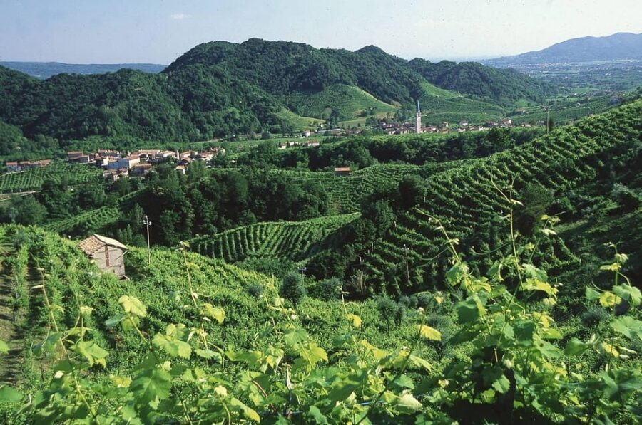 Venice: Prosecco Hills Wineries Tour with Tastings and Lunch - Lunch at a family-owned osteria: where spiedo does the heavy work