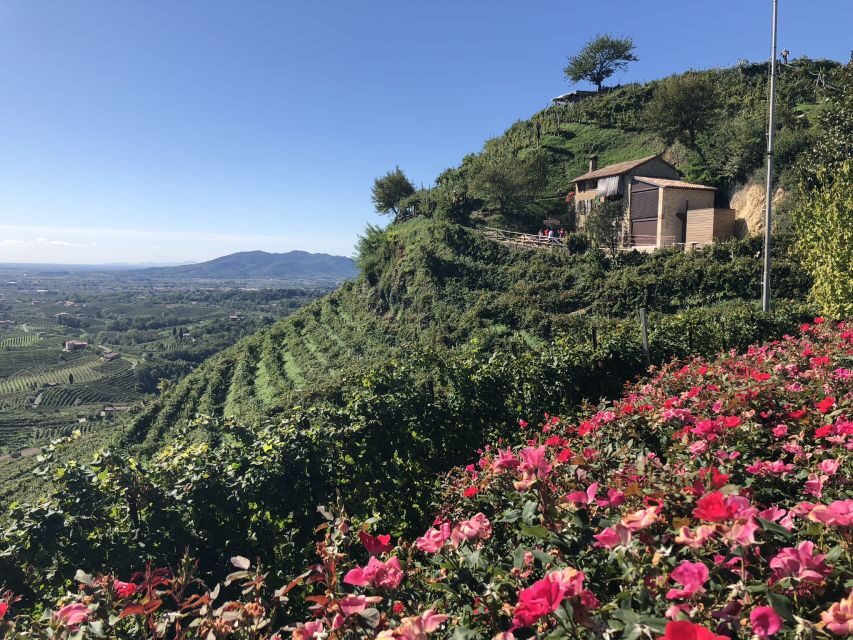 Venice: Prosecco Hills Wineries Tour with Tastings and Lunch - Tastings built into the day: eight pours, but not a random scatter