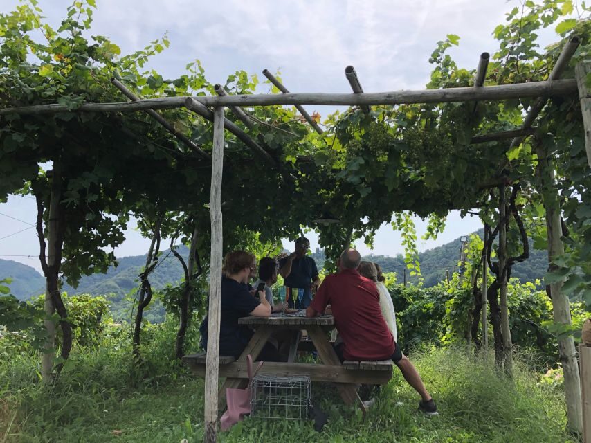 Venice: Prosecco Hills Wineries Tour with Tastings and Lunch - Views and photo moments: why the scenery isn’t just decoration