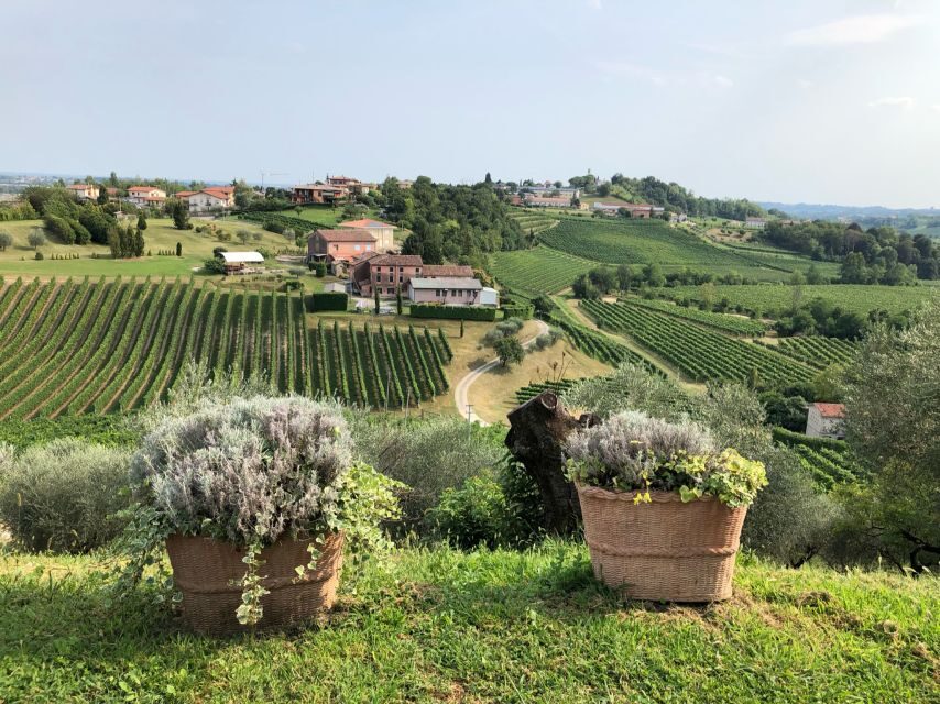 Venice: Prosecco Hills Wineries Tour with Tastings and Lunch - Your guide matters: Carlo, Julia, and the kind of humor that helps