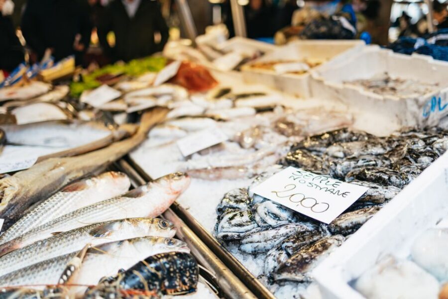 Venice: Rialto Market Tour, Cooking Class, and Lunch - Who this tour fits best (and who should think twice)