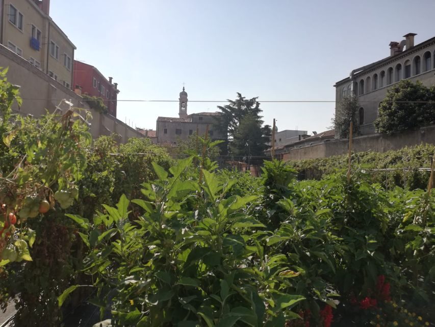 Venice: Secret City Gardens Walking Tour - Key things to know before you go