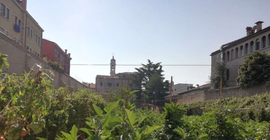Venice: Secret City Gardens Walking Tour - Behind the façades: what private Venice gardens are really like