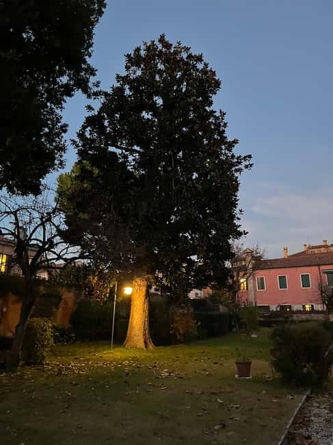 Venice: Sunrise Walking Tour with Espresso - Key highlights that make this sunrise walk work