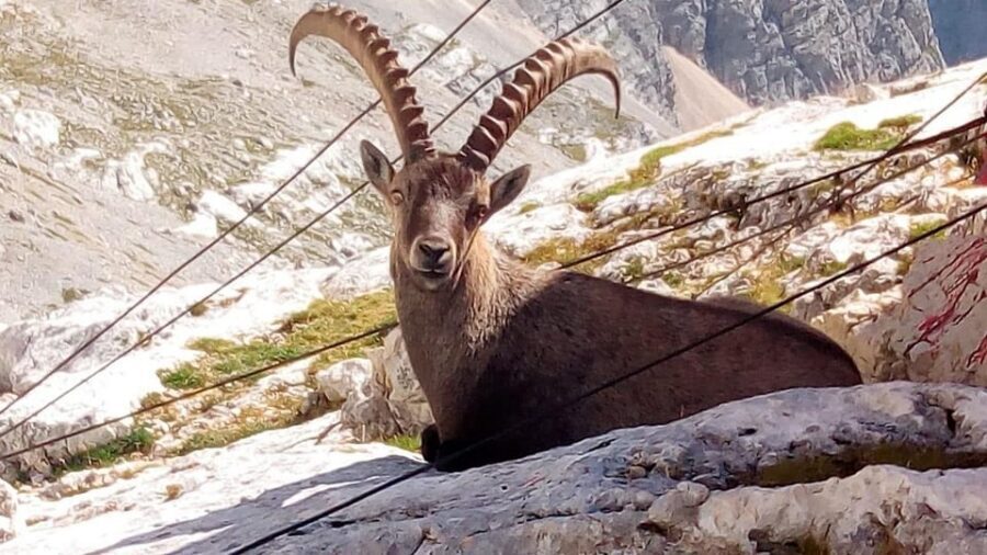 VENICE : Tour of Dolomites Unesco - Five Towers of Cortina Valley: chairlift option, then Scoiattoli, Averau, and Nuvolau