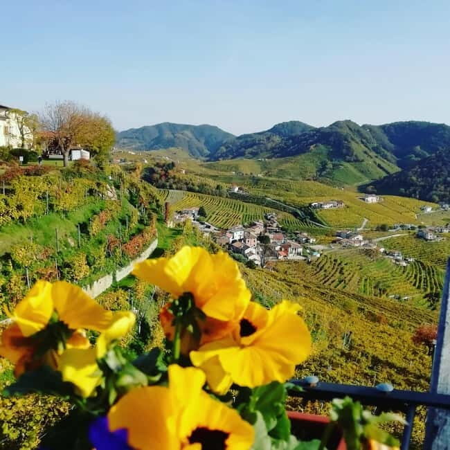 Venice: wine tour tasting along the Unesco Prosecco hills - Key things to know before you go
