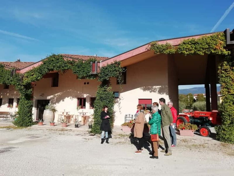 Venice: wine tour tasting along the Unesco Prosecco hills - Price and What It Really Costs in Your Budget