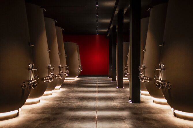 Verona area: Wine Tasting Experience in Valpolicella - The Tasting Experience: 6 Wines With a Professional Sommelier
