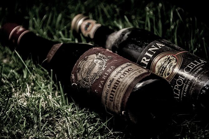 Verona area: Wine Tasting Experience in Valpolicella - Who This Tour Suits Best (And Who Might Skip It)
