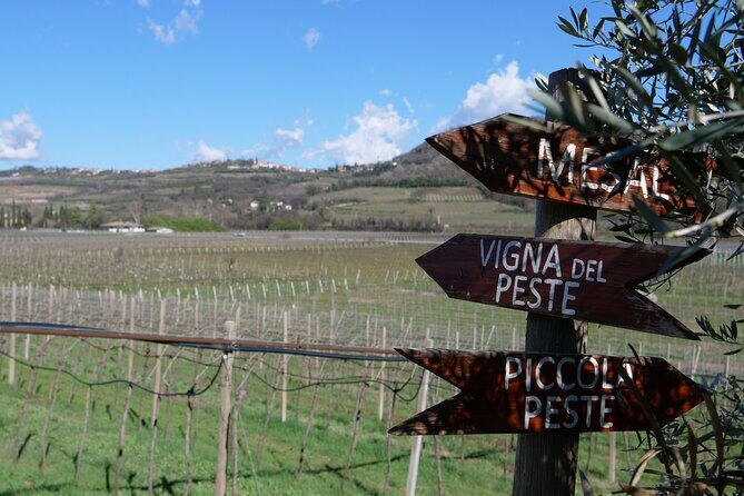 Verona - Cellar Tour and Tasting of NATURAL WINES - Entering Terre di Pietra: a natural-wine stop just outside Verona
