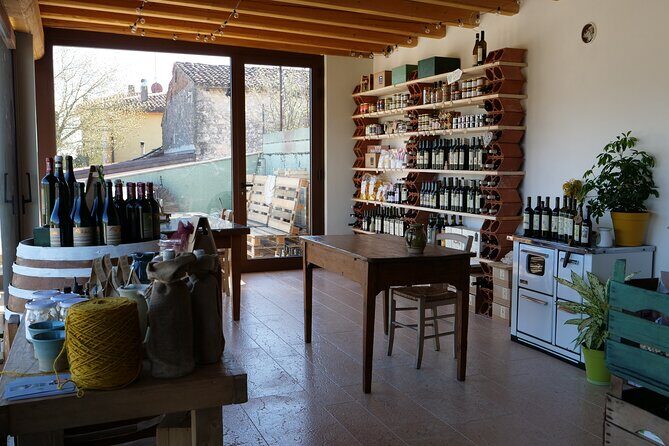 Verona - Cellar Tour and Tasting of NATURAL WINES - Inside the cellar: learning how natural wines are produced