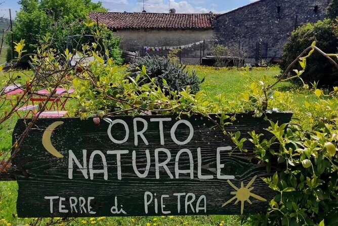 Verona - Cellar Tour and Tasting of NATURAL WINES - The tasting room finish: five wines plus estate oil