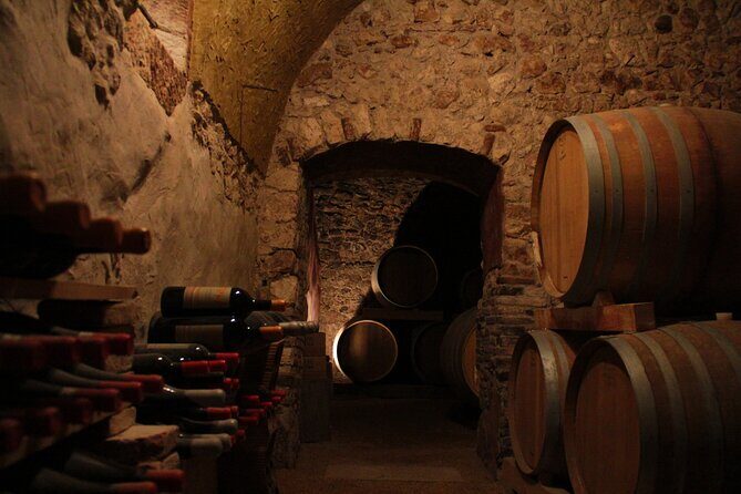 Verona - Cellar Tour and Tasting of NATURAL WINES - Quick verdict: should you book it?