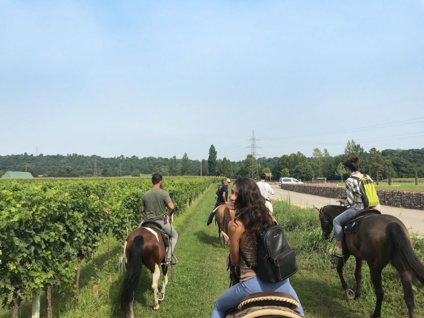 Verona: Horseback Riding and Wine Tasting Experience - Key Things to Know Before You Go
