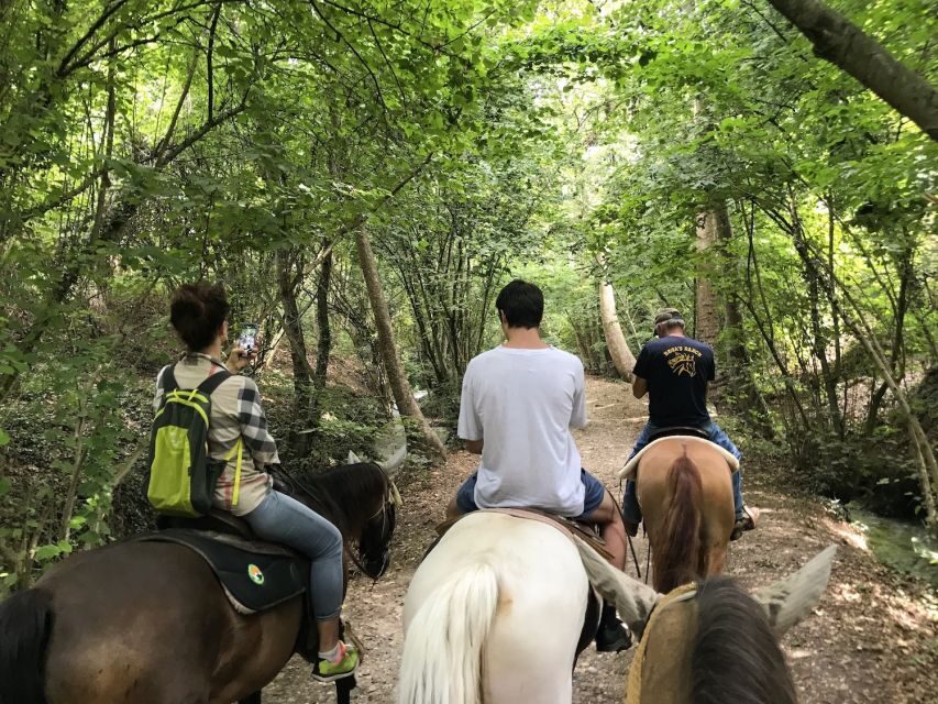 Verona: Horseback Riding and Wine Tasting Experience - Horseback Ride Meets a Real Winery in Custoza