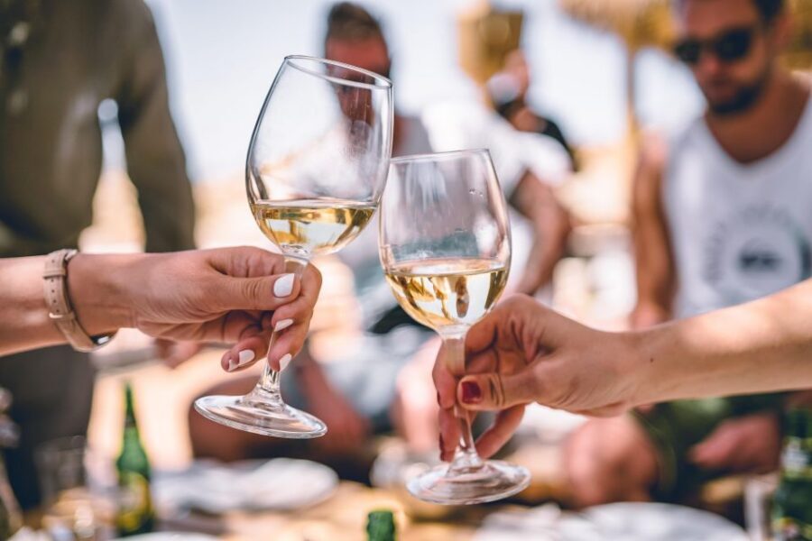 Verona: Horseback Riding and Wine Tasting Experience - Getting Matched With Your Trail Horse (And Why It Matters)