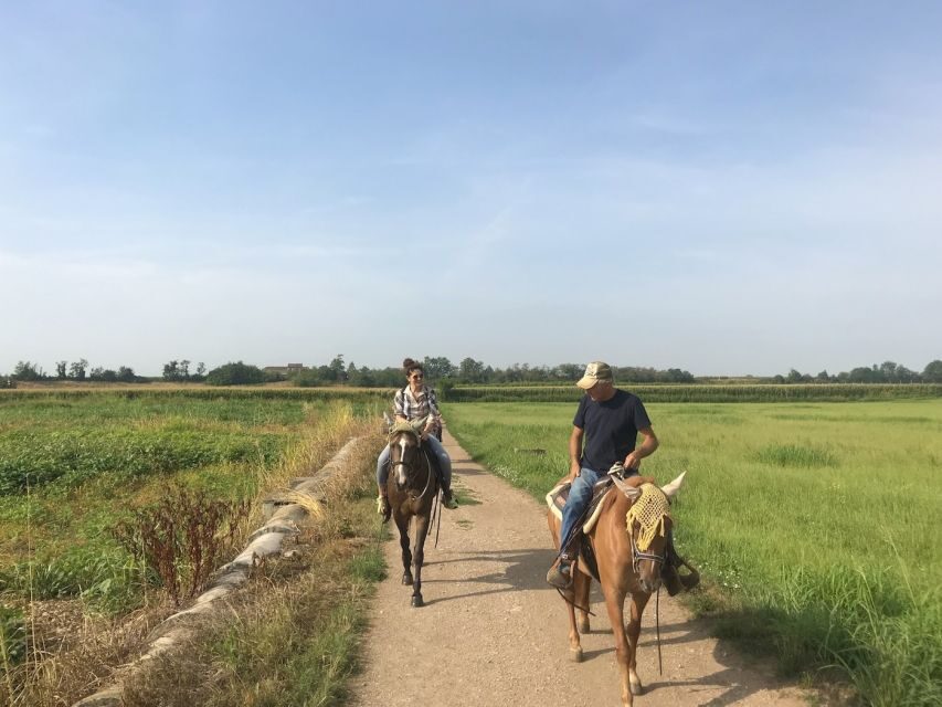 Verona: Horseback Riding and Wine Tasting Experience - Walk Into the Cellar: What the Winery Visit Feels Like