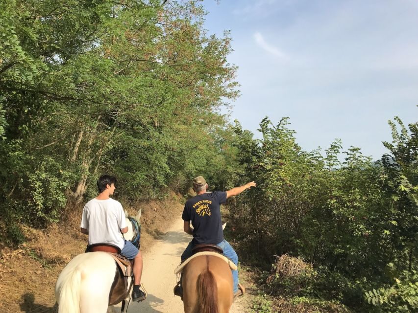 Verona: Horseback Riding and Wine Tasting Experience - Who This Verona Horse and Wine Tour Fits Best