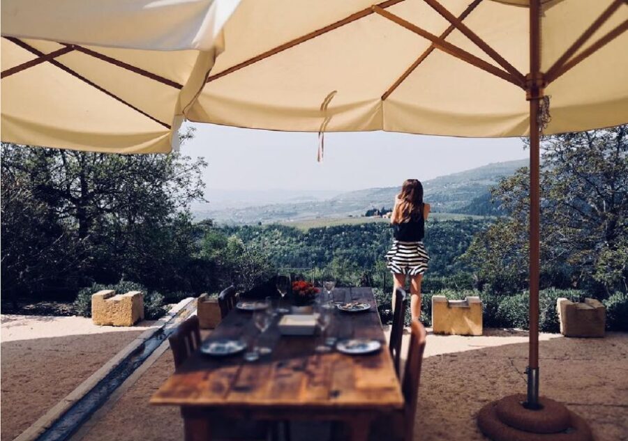 Verona: Vineyard and Winery Tour with Wine Tasting - Who should book this Valpolicella winery tour?