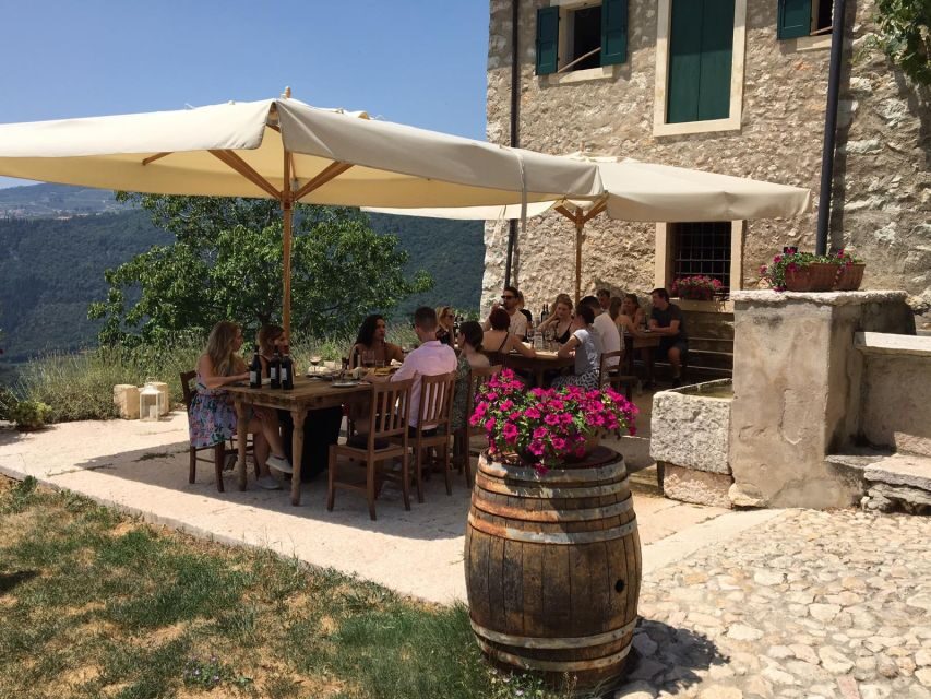 Verona: Vineyard and Winery Tour with Wine Tasting - Appassimento and the Amarone drying room
