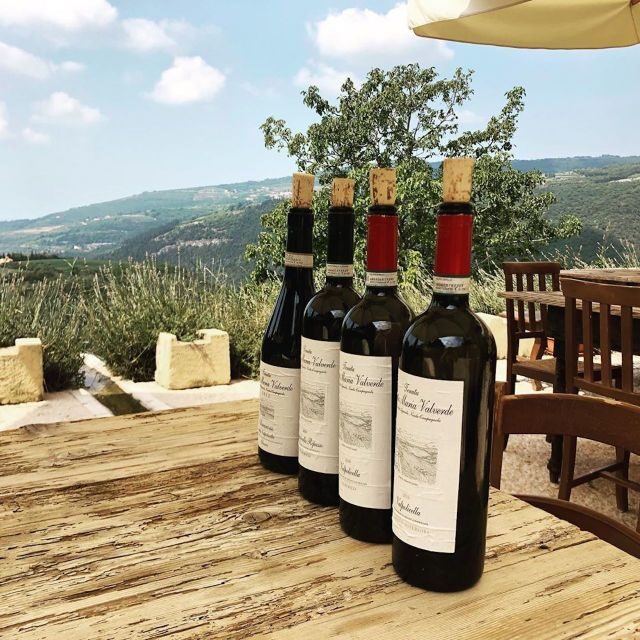Verona: Vineyard and Winery Tour with Wine Tasting - The tasting: how you evaluate Valpolicella, Ripasso, and Amarone