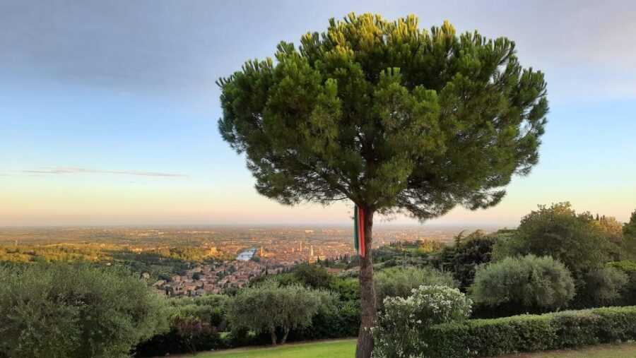 Verona: Wine Tasting with Snacks and Panoramic Views - The Terrace Experience: When Verona’s Views Become Part of the Wine