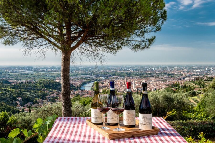 Verona: Wine Tasting with Snacks and Panoramic Views - Should You Book This Verona Wine Tasting at Corte San Mattia?