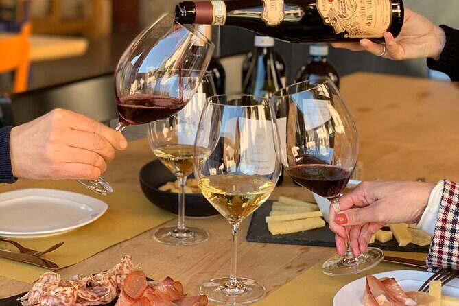 Vineyard Tour with Light Lunch in Valpolicella - Key things to love about this Valpolicella winery stop