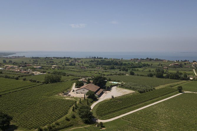 Visit and wine tasting at Tenuta La Cà - Key highlights you’ll care about