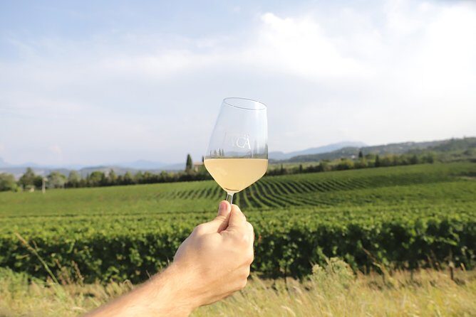 Visit and wine tasting at Tenuta La Cà - Tenuta La Cà: the Verona-area wine tasting that feels like a real lesson