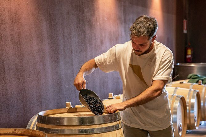 Visit and wine tasting at Tenuta La Cà - The 4-wine tasting and the food pairing you’ll actually remember