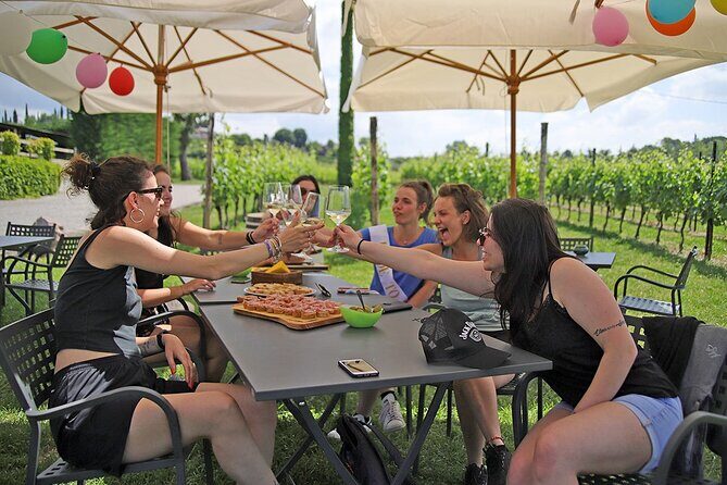 Wine and Food Tasting in the Vineyards in Lazise - The vineyard walk and how grapes become wine
