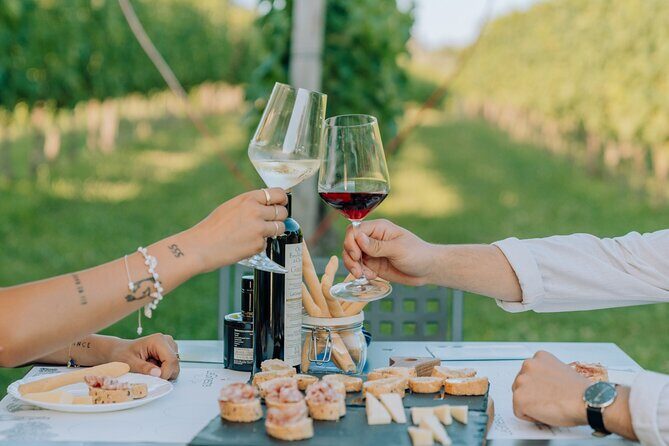 Wine and Food Tasting in the Vineyards in Lazise - Who this fits best (and who might want a different plan)