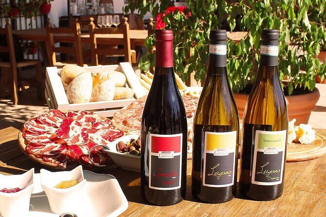 Wine Tasting and Tour of Lugana Wines in Sirmione - Who this tour is best for (and who should think twice)