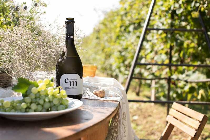Wine Tasting: the flavors of the “Prosecco Hills” - The Superior Quality Prosecco story, explained for real life