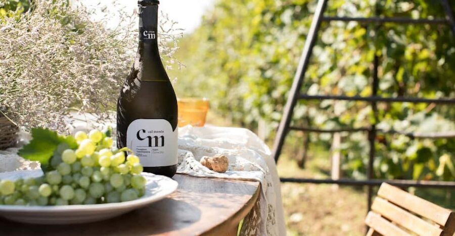 Wine Tasting: the flavors of the “Prosecco Hills” - Tasting 4 Proseccos with local bites: how to get the most out of it