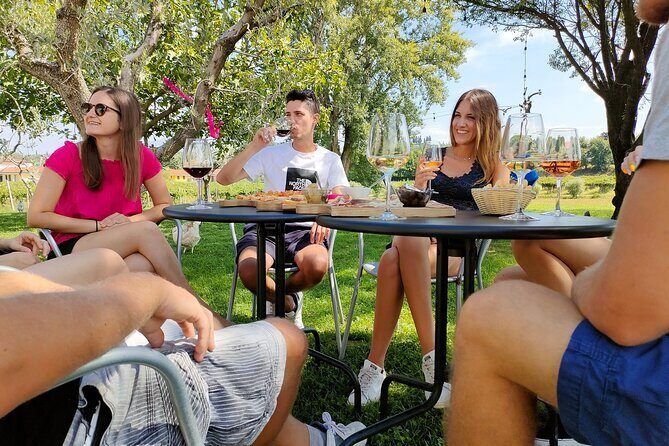 Wine Tasting with Local Food in Lazise Countryside - Key Things I’d Mark in Your Guidebook