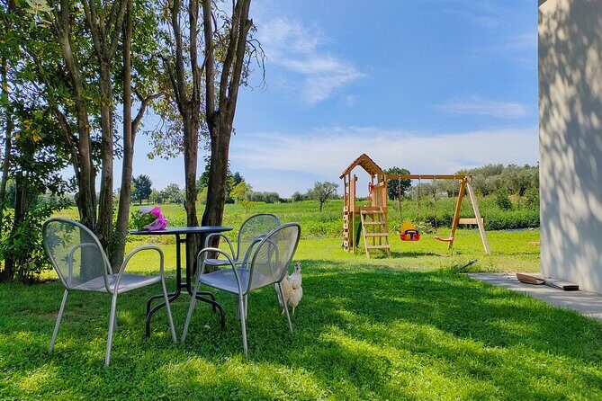 Wine Tasting with Local Food in Lazise Countryside - A Lazise Farm Tasting That Feels Like Visiting the Countryside, Not a Venue