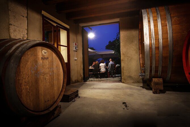 Wine Tasting with Panoramic View of Verona - The 90-minute flow: from vineyard steps to terrace pours
