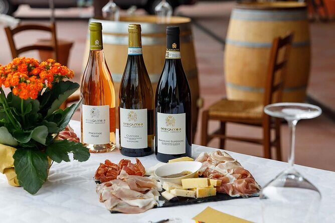 Winery Tour and Tasting of Garda Wines in Lazise - Quick hit: what makes this tour worth your afternoon