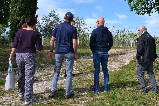 Winery Tour and Tasting of Garda Wines in Lazise - Meeting Bergamini Vini in Colà (near Lazise) and what you’re really paying for