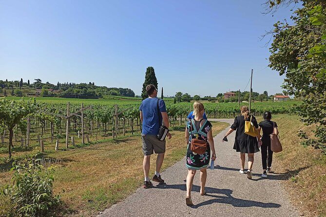 Winery Tour and Tasting of Garda Wines in Lazise - Cellar visit: where the story turns into technique