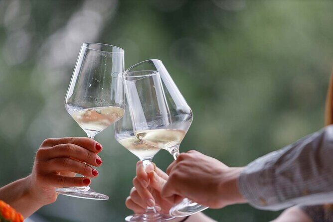 Winery Tour and Tasting of Garda Wines in Lazise - Who guides this tour, and why that matters for your experience